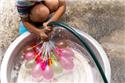 Veranstaltungsbild Wasserolympiade – Spiele, Spaß und Abkühlung